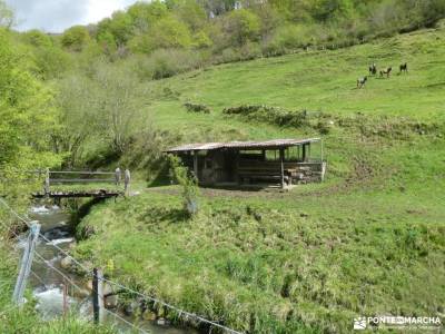 Parque Natural de Nansa y el Alto Besaya;la tiñosa salinas de añana visitas festividad la almudena r